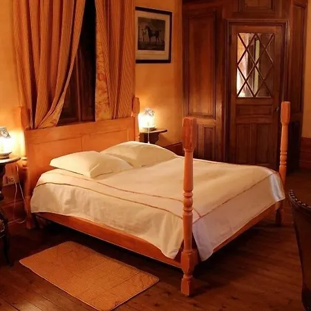 فندق مبيت وإفطار Chateau De Chambiers Durtal