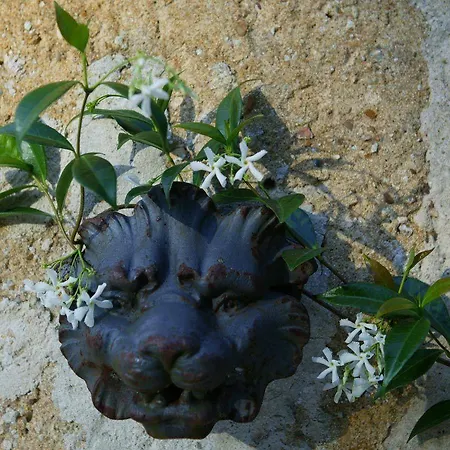 Panzió Chateau De Chambiers 4*