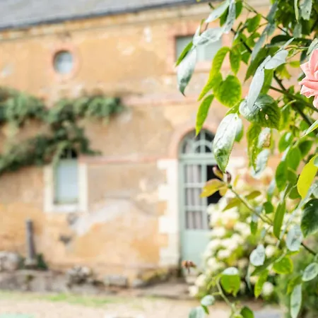 Chateau De Chambiers فندق مبيت وإفطار 4*