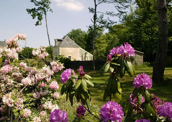 Bed & Breakfast Chateau De Chambiers Durtal