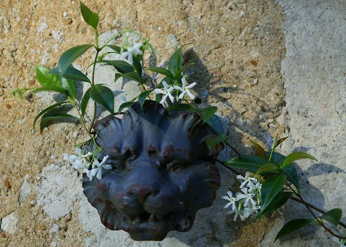 Bed & Breakfast Chateau De Chambiers 4*